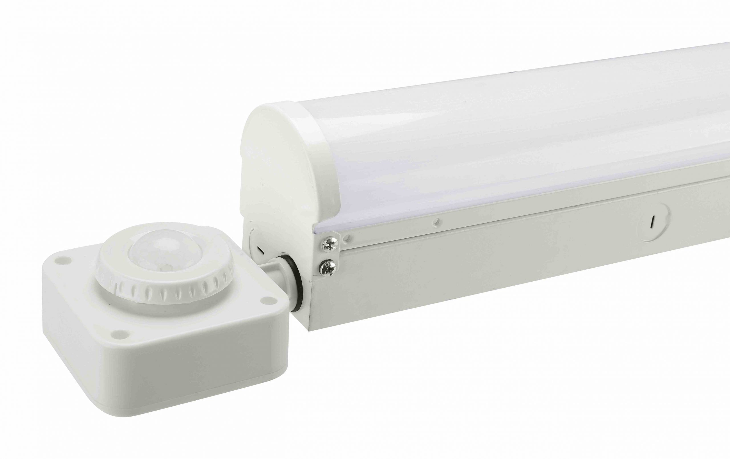 MLF02-4FT+SENSOR-detail